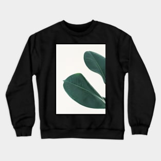 Rubber Fig Leaves I Crewneck Sweatshirt